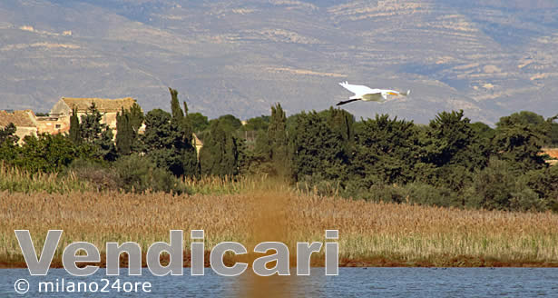 Naturschutzgebiet Vendicari